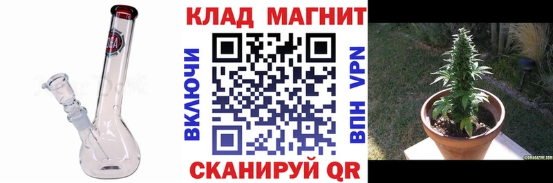 Купить закладку Бошки Шишки  Cocaine  Alpha-PVP  Псилоцибиновые грибы  МЕФ  Баймак
