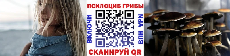 Купить закладки  Баймак  Псилоцибиновые грибы мухоморы 
